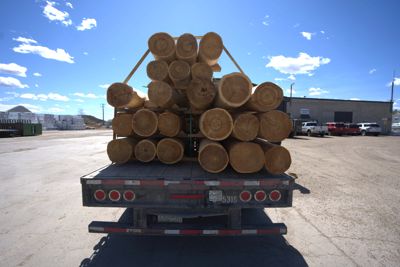 timber-options.jpg